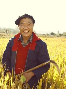 乡村爱情小夜曲剧情介绍_天天影视