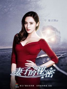 妻子的秘密剧情介绍_天天影视