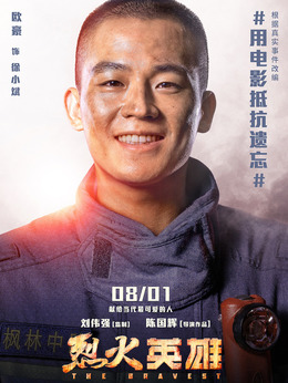 烈火英雄剧情介绍_天天影视