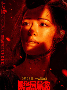 解放·终局营救剧情介绍_天天影视