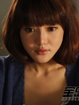 宝岛双雄剧情介绍_天天影视