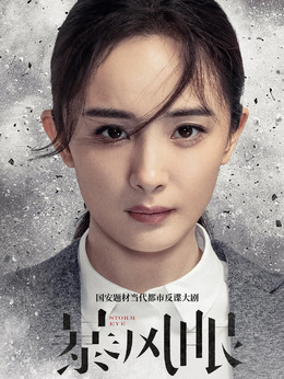 暴风眼剧情介绍_天天影视