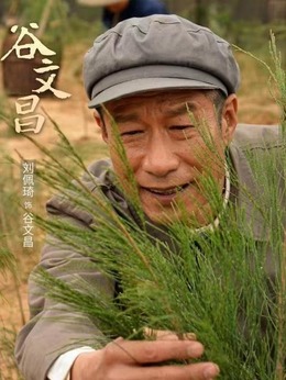 谷文昌剧情介绍_天天影视