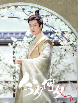 今夕何夕剧情介绍_天天影视