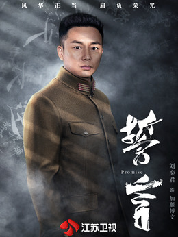 誓言剧情介绍_天天影视