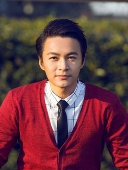 中华英雄剧情介绍_天天影视