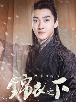 锦衣之下剧情介绍_天天影视