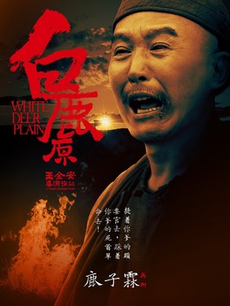 白鹿原剧情介绍_天天影视