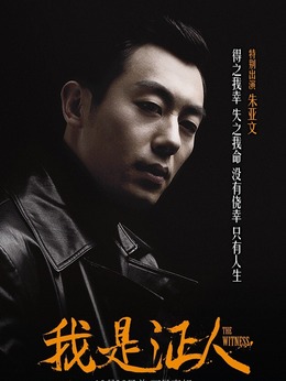 我是证人剧情介绍_天天影视