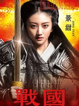 战国剧情介绍_天天影视