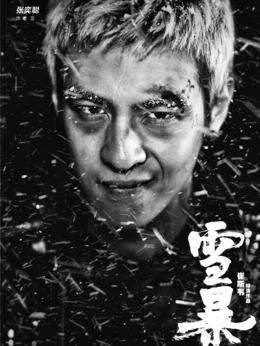雪暴剧情介绍_天天影视