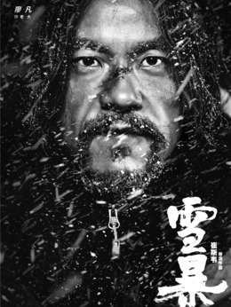 雪暴剧情介绍_天天影视