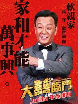 大喜临门剧情介绍_天天影视