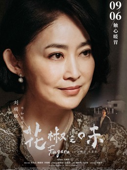 花椒之味剧情介绍_天天影视