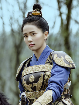 凤囚凰剧情介绍_天天影视