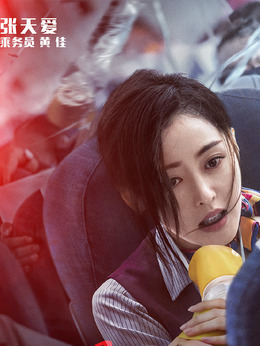 中国机长剧情介绍_天天影视