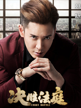 决胜法庭剧情介绍_天天影视