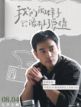 我们的样子像极了爱情剧情介绍_天天影视