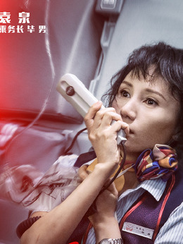 中国机长剧情介绍_天天影视