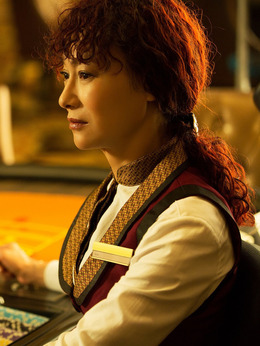 北京遇上西雅图之不二情书剧情介绍_天天影视