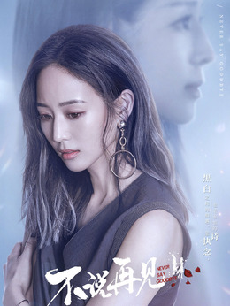 不说再见剧情介绍_天天影视