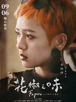 花椒之味剧情介绍_天天影视