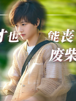 二十不惑剧情介绍_天天影视