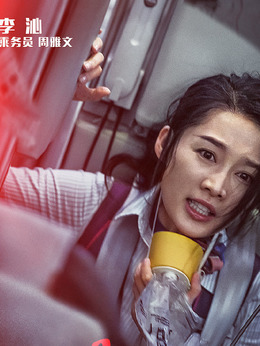 中国机长剧情介绍_天天影视