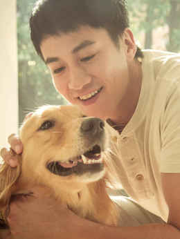 我的男友和狗剧情介绍_天天影视