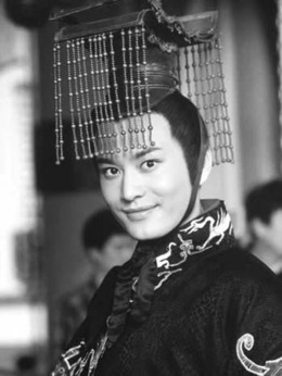 大汉天子剧情介绍_天天影视