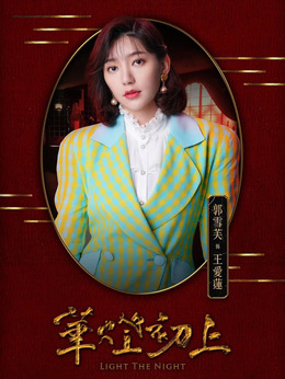 华灯初上第一季剧情介绍_天天影视