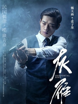 蝶影剧情介绍_天天影视