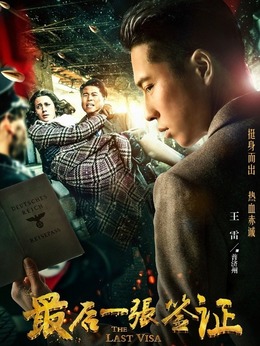 最后一张签证剧情介绍_天天影视
