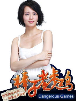 棒子老虎鸡剧情介绍_天天影视