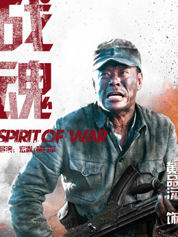 战魂剧情介绍_天天影视