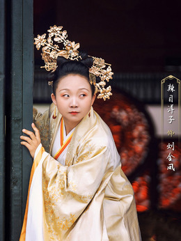 我叫刘金凤剧情介绍_天天影视