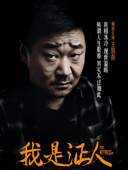 我是证人剧情介绍_天天影视