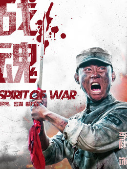 战魂剧情介绍_天天影视