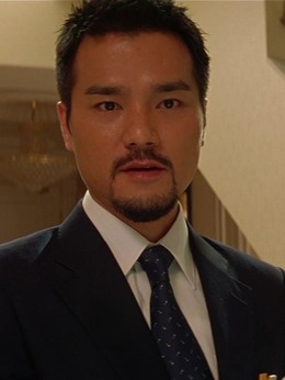 龙凤斗剧情介绍_天天影视