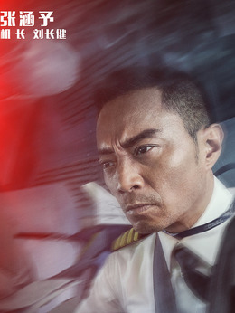 中国机长剧情介绍_天天影视