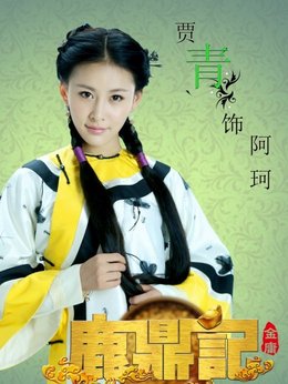 鹿鼎记剧情介绍_天天影视