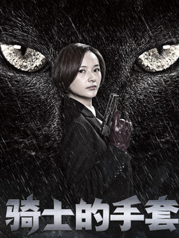 骑士的手套剧情介绍_天天影视