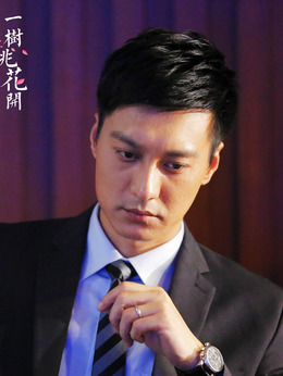 一树桃花开剧情介绍_天天影视