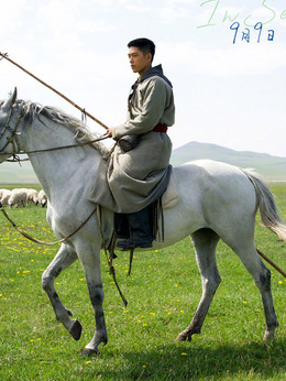 海的尽头是草原剧情介绍_天天影视