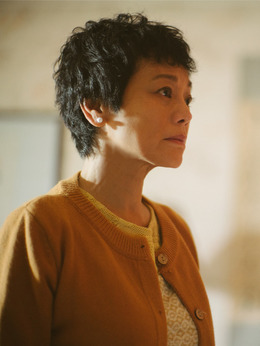 相爱相亲剧情介绍_天天影视