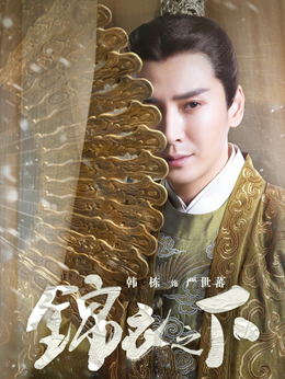 锦衣之下剧情介绍_天天影视