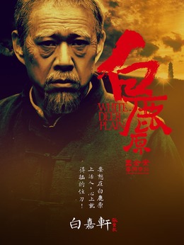 白鹿原剧情介绍_天天影视