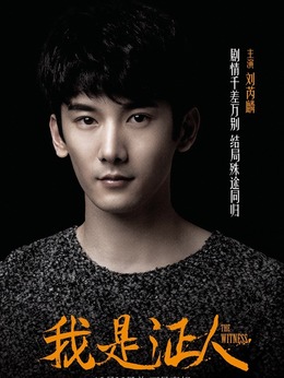 我是证人剧情介绍_天天影视