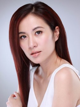 一网情深剧情介绍_天天影视