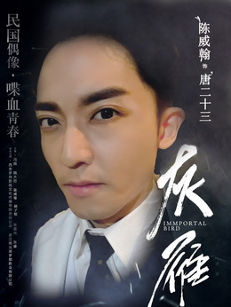 蝶影剧情介绍_天天影视